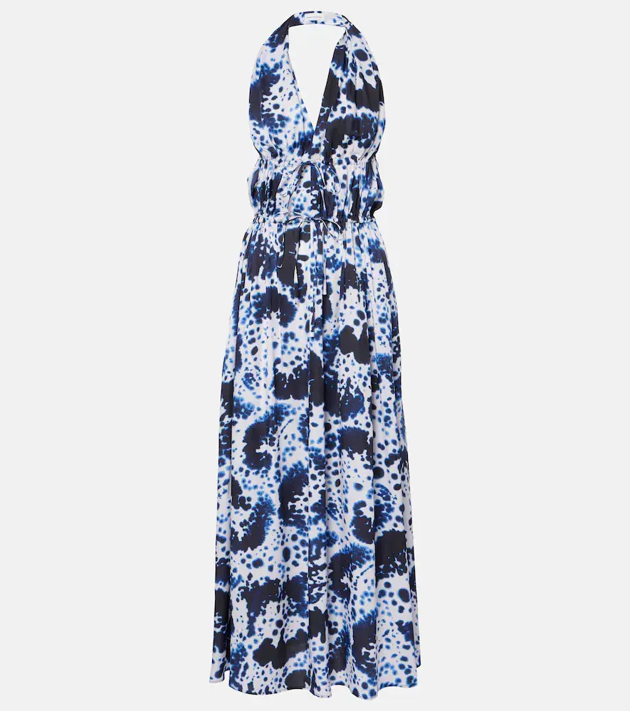 Dries van Noten Printed Halterneck Maxi Dress